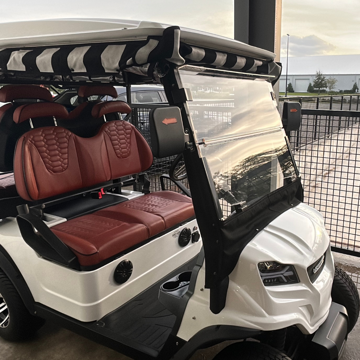 Professional golf cart detailing service